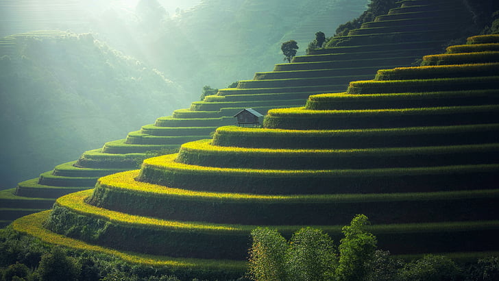 terraços, cultura, campos, yuanyang, yunnan, china, ásia, natureza, natureza, cabana, bangalô, HD papel de parede