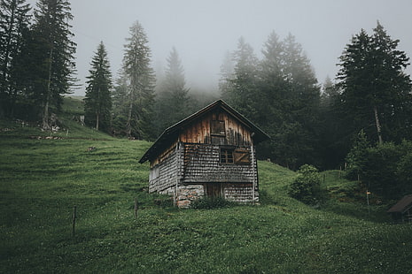 casa marrone e grigia su erba verde circondata da alberi, natura, paesaggio, casa, nebbia, alberi, erba, Chill Out, Sfondo HD HD wallpaper