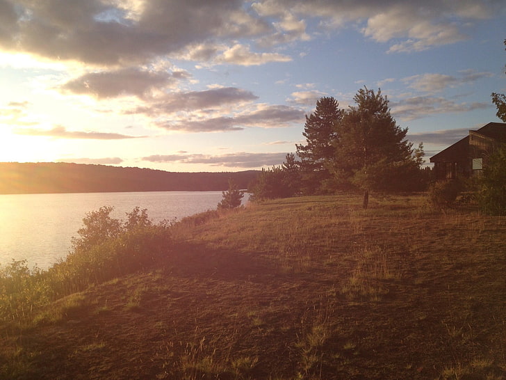 зеленолистно дърво, езеро, пейзаж, Канада, HD тапет