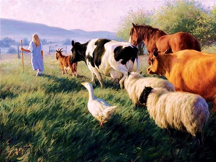 牛農場日終了抽象写真HDアート、女の子、馬、牛、農場、ヤギ、ガチョウ、 HDデスクトップの壁紙