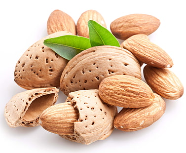 kacang almond, almond, kerang, daun, latar belakang putih, Wallpaper HD HD wallpaper