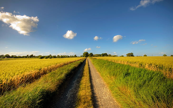 Footpath, road, sunny day, fields, clouds, summer, Footpath, Road, Sunny, Day, Fields, Clouds, Summer, HD wallpaper