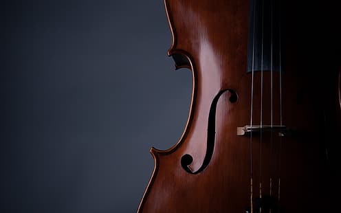 música, violín, cuerdas, instrumento musical, fondo hd 2k, Fondo de pantalla HD HD wallpaper