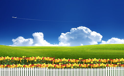 Dreamscape Spring 9, airplane flying over green field with flowers digital wallpaper, Seasons, Spring, Dreamscape, HD wallpaper HD wallpaper