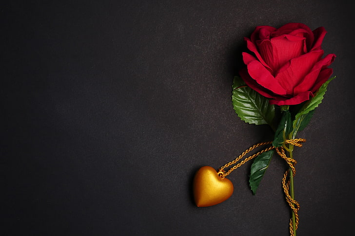 цветы, подарок, сердце, роза, кулон, красный, любовь, черный фон, романтично, розы, HD обои