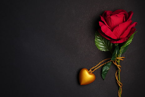 flowers, gift, heart, rose, pendant, red, love, black background, romantic, roses, HD wallpaper HD wallpaper