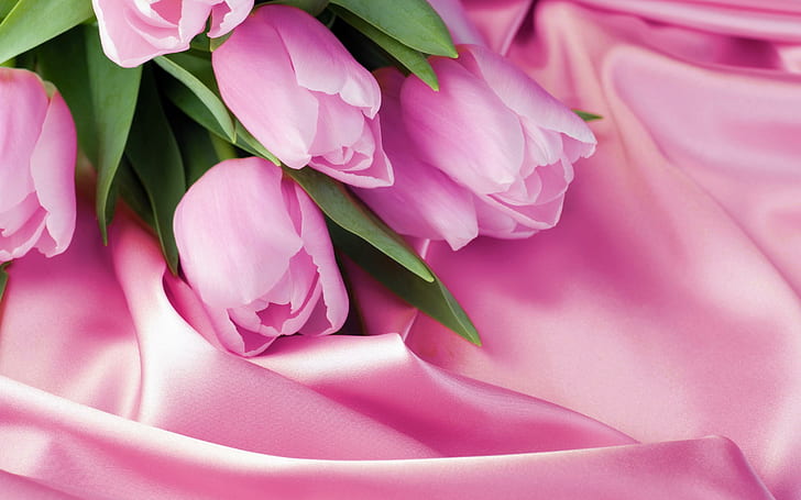Bunch pink tulips hd, pink rose, flower, love, bunch, pink, tulips, HD wallpaper