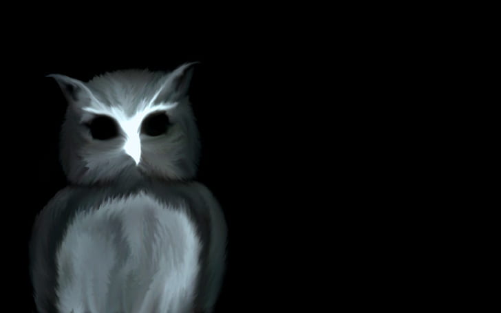 dark, owl, HD wallpaper
