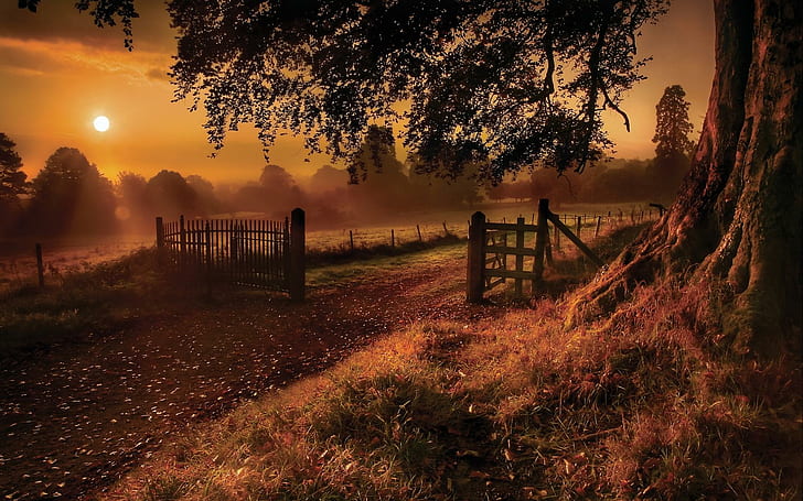 Paese Tramonto, natura, campagna, tramonti, autunno, natura e paesaggi, Sfondo HD