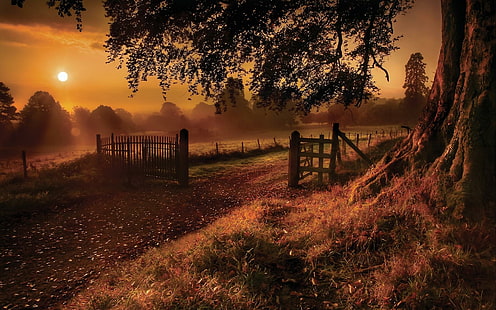 Land Sonnenuntergang, Natur, Land, Sonnenuntergänge, Herbst, Natur und Landschaften, HD-Hintergrundbild HD wallpaper