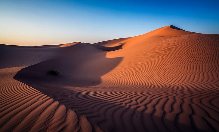 사막, 아부 다비, 아랍 에미리트, HD 배경 화면