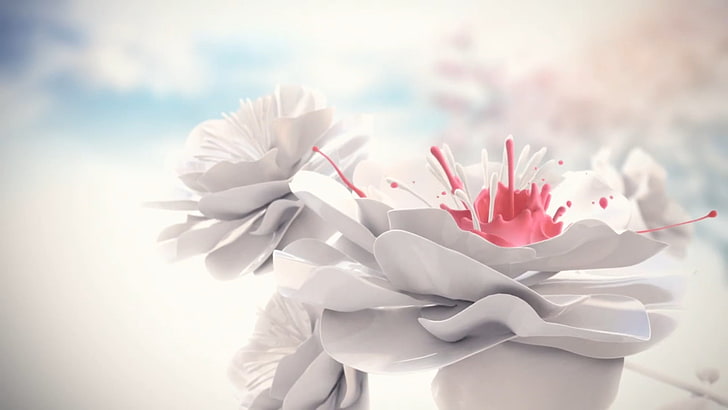 흰색과 붉은 꽃 디지털 ​​아트, 추상, 꽃, 흰색, 분홍색, 페인트 튄, HD 배경 화면