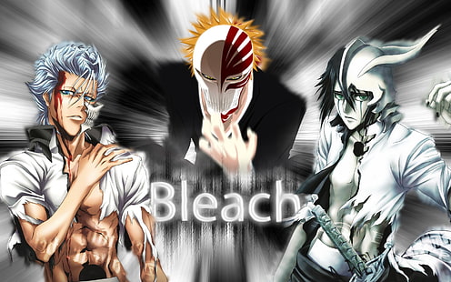 Film Bleach, anime, Kurosaki Ichigo, Bleach, Ulquiorra Cifer, Grimmjow Jaegerjaquez, Hollow, Espada, Wallpaper HD HD wallpaper