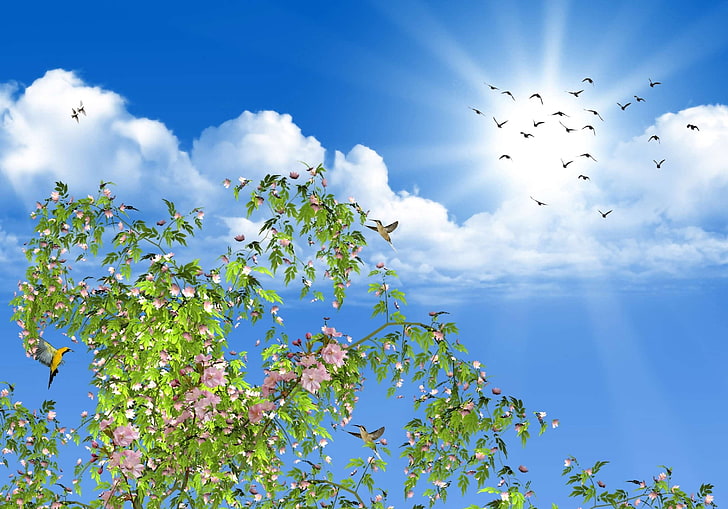 aves tropicais, beija flores, birds, cu, clouds, colibris, flores, flowers, nature, natureza, sky, sol, sun, HD wallpaper