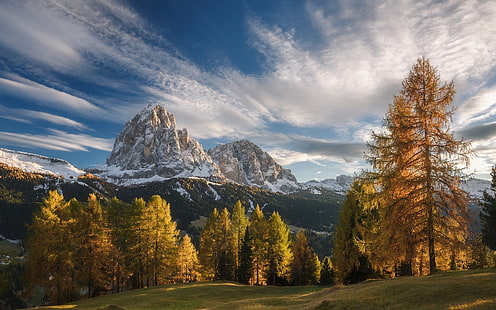 grönt lövträd, landskap, natur, falla, berg, skog, gräs, solnedgång, snöig topp, moln, träd, Alperna, Italien, himmel, HD tapet HD wallpaper