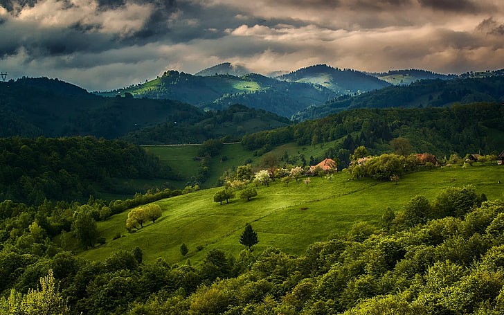 bidang hijau dan pegunungan, alam, lanskap, musim semi, hutan, rumah, lapangan, gunung, awan, hijau, langit, pohon, rumput, Wallpaper HD