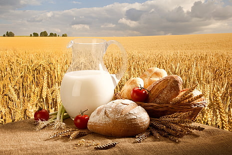wheat breads and milk, milk, jug, bread, rolls, basket, tomatoes, onions, wheat, field, sky, HD wallpaper HD wallpaper