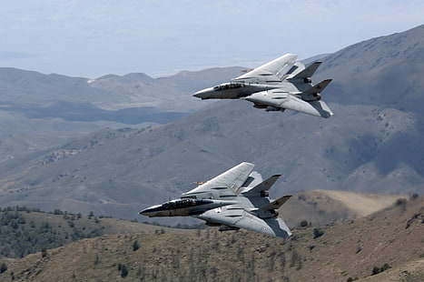 самолеты, f 14, истребитель, реактивный, военный, летчики, небо, кот, оружие, HD обои HD wallpaper