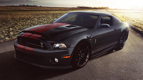 voiture, véhicule, Ford Mustang Shelby, Shelby Mustang, Ford Mustang, Conception automobile, Ford, Ford Mustang Shelby Cobra, voiture de sport, Shelby Cobra, Supercar, Muscle car, champ, Voiture noire, Fond d'écran HD HD wallpaper
