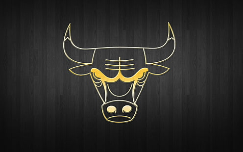 Chicago Bulls logotyp tapeter, basket, bakgrund, logotyp, guld, NBA, Chicago Bulls, HD tapet HD wallpaper