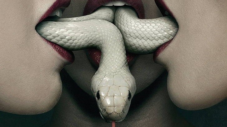 ular, mulut, albino, American Horror Story, wanita, Wallpaper HD