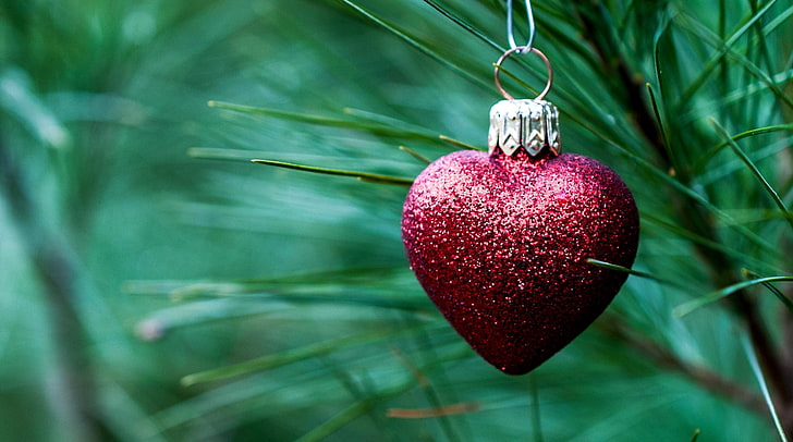 red heart pendant, needles, red, toy, heart, spruce, branch, New Year, Christmas, tree, decoration, holidays, HD wallpaper