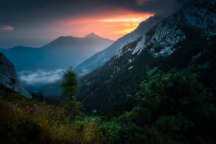 gunung, kabut, pagi, Wallpaper HD