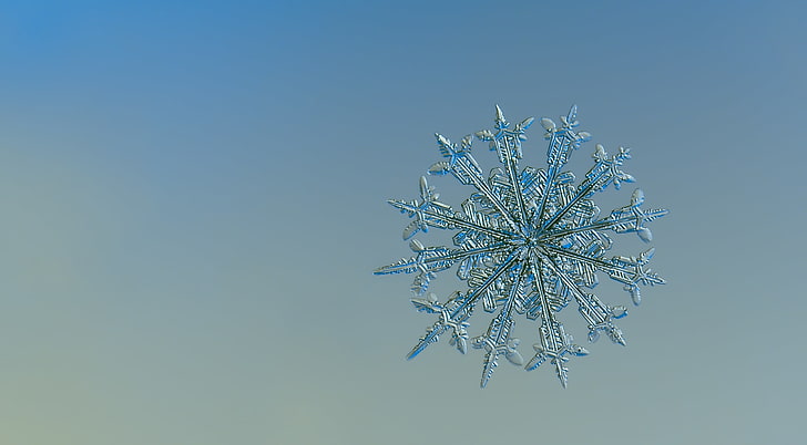 Real Snowflake Under Microscope, Aero, Macro, Blue, Beautiful, Winter,  Abstract, HD wallpaper | Wallpaperbetter