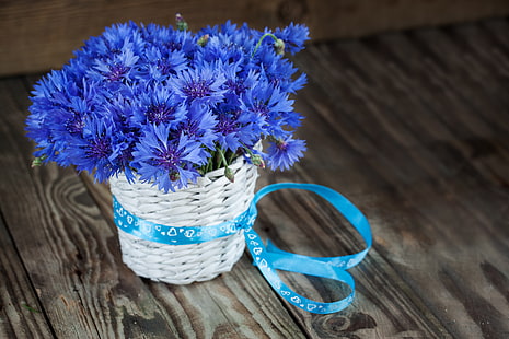 fleurs, bleu, bouquet, bleuets, Fond d'écran HD HD wallpaper