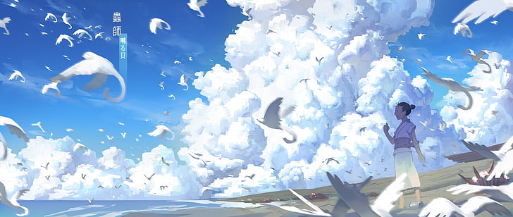 птици, облаци, Мушиши, HD тапет