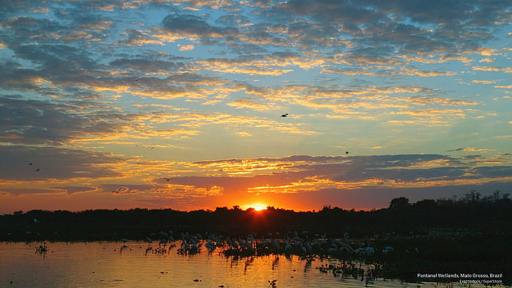 Pantanal Wetlands, Mato Grosso, Brasilien, Sydamerika, HD tapet