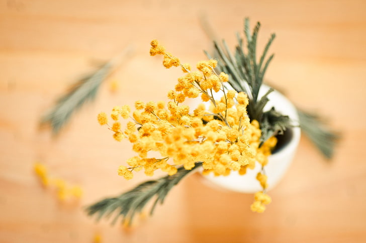 yellow flowers, flowers, yellow, blur, vase, buds, Mimosa, HD wallpaper