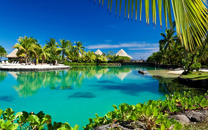Tropik Cennet Palmiye Ağaçları Deniz Okyanus Plaj Sunshine 2560 × 1600, HD masaüstü duvar kağıdı
