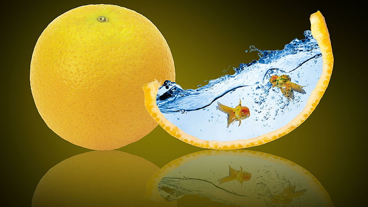 Orange, Fische, Goldfisch, digitale Kunst, Wasser, reflektiert, Frucht, Zitrusfrucht, Nahrung, HD-Hintergrundbild