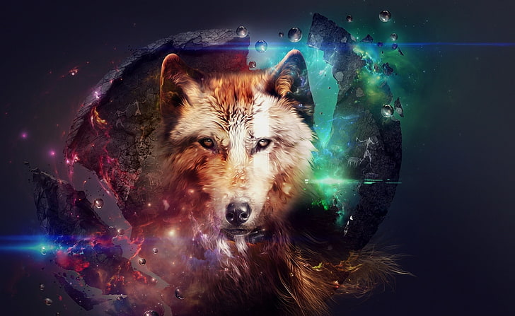 Magic Wolf, brown wolf digital wallpaper, Animals, Wild, wolves, wolf, wild dogs, wild animals, art, magic wolf, abstract wolf, art wolf, art animals, HD wallpaper