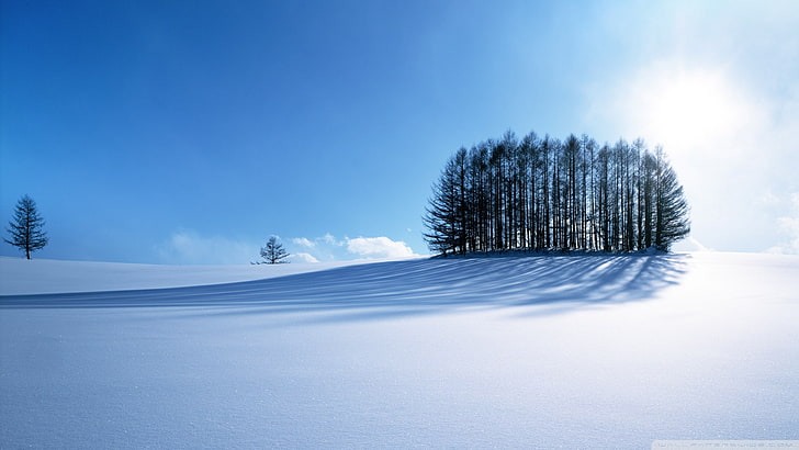 paysages hiver neige 1920x1080 Nature Hiver HD Art, Hiver, Paysages, Fond d'écran HD