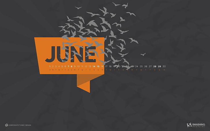 The Birds-June 2014 calendar wallpaper, HD wallpaper