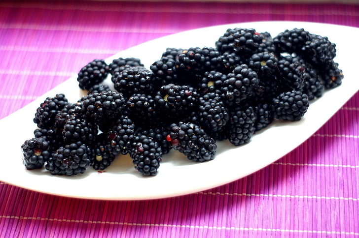 plate of blackberries, blackberries, berries, plate, HD wallpaper