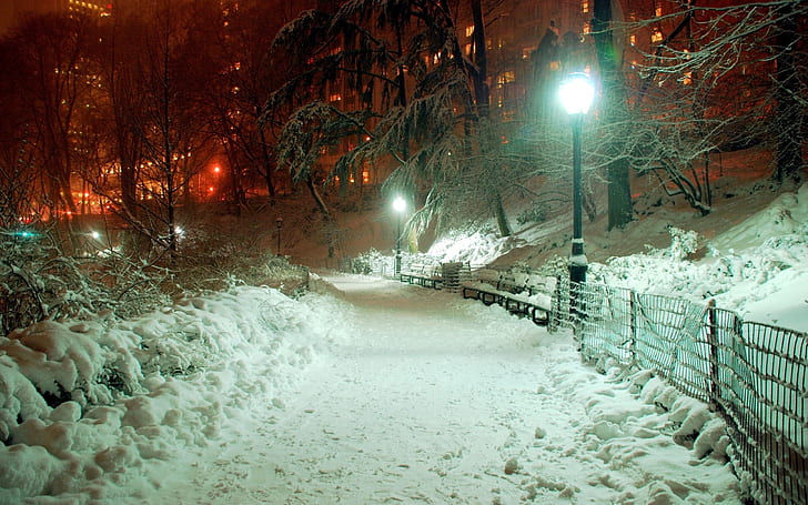 парк, свет, лампа, зима, сугробы, январь, HD обои