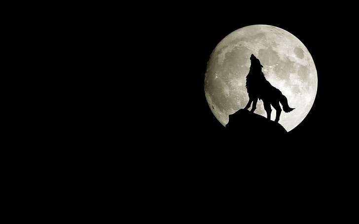 moon silhouette wolf 1440x900 Space Moons HD Sztuka, Księżyc, sylwetka, Tapety HD