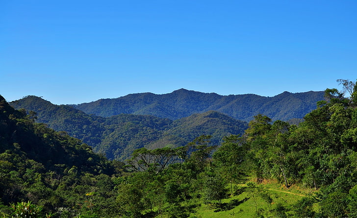 Mountains, green leafed trees, Nature, Mountains, natureza, arvore, tree, trees, mountain, montanha, brasil, brazil, landscape, arvores, HD wallpaper