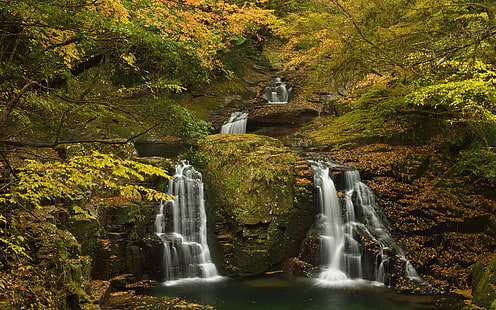 Wasserfall Bäume Forest Rocks Stones HD, Natur, Bäume, Wald, Felsen, Steine, Wasserfall, HD-Hintergrundbild HD wallpaper