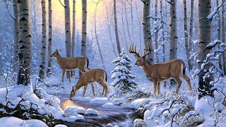 wildlife, fauna, painting, winter, snow, deer, tree, woodland, freezing, creek, white tailed deer, forest, painting art, stream, whitetail deer, stag, HD wallpaper