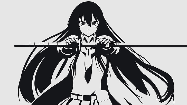 Akame от Akame Ga Kill илюстрация, Akame, Akame ga Kill !, аниме вектори, вектор, HD тапет