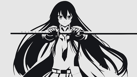 Akame von Akame Ga Kill-Illustration, Akame, Akame ga Kill!, Anime-Vektoren, Vektor, HD-Hintergrundbild HD wallpaper