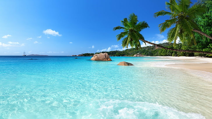 vacances, plage de sable, eau, limpide, palmier, baie chevalier, seychelles, anse lazio, baie, île, côte, mer, été, azur, océan, ciel, rivage, plage, tropiques, tropical, praslin, Fond d'écran HD