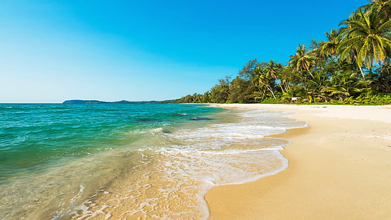 spiaggia, estate, estate, spiaggia sabbiosa, costa, palme, cielo blu, mare, Sfondo HD HD wallpaper