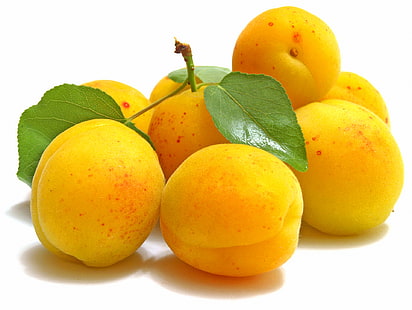 gelbe Früchte, Aprikosen, Blätter, Früchte, reif, HD-Hintergrundbild HD wallpaper