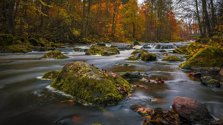 Nature Landscape Autumn Colors Forests Trees River Rocks Green Moss Ultra Hd 4k Computer Wallpapers 5000×2813, HD wallpaper