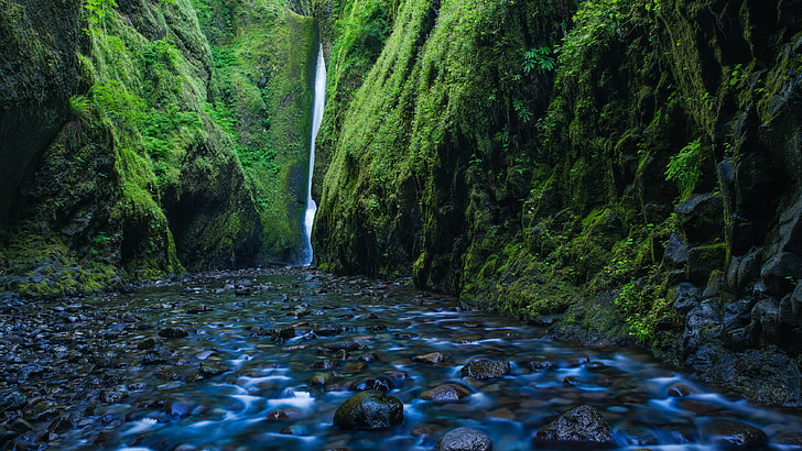 Oregon, Waterfall, Oneonta Falls, Oneonta Gorge, HD wallpaper